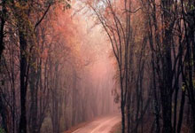 中甲联赛：广州豹2轮逆转江苏球队，石家庄惨败颓势明显