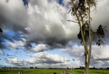 中甲第13轮：南通支云顽强阻击辽宁铁人，李金羽的连胜梦想告破